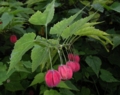 20101014224004