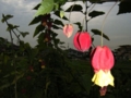 20101014224008