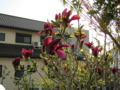 20110409162745
