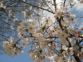 20110409163011