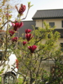 20110409163109