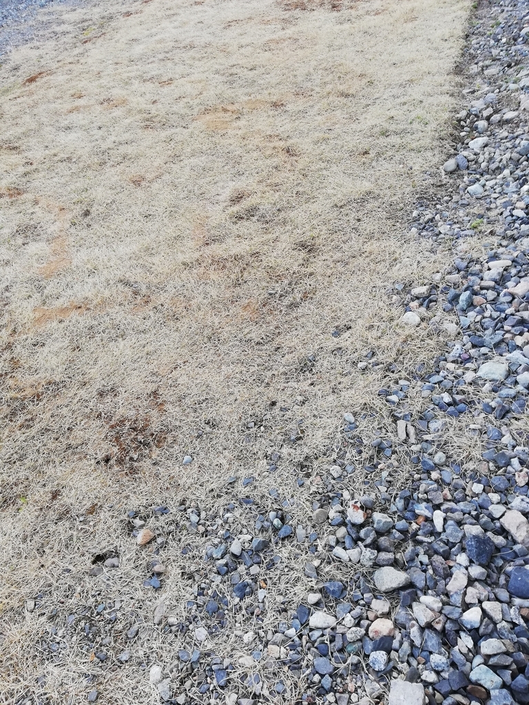 f:id:VENTi:20190403174007j:plain