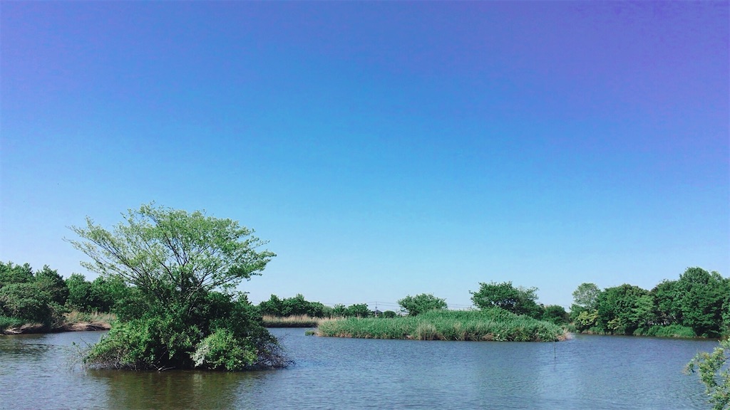 f:id:Vanity73:20200511154424j:image