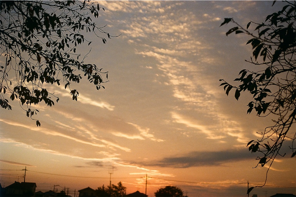 f:id:Vanity73:20201130195639j:image