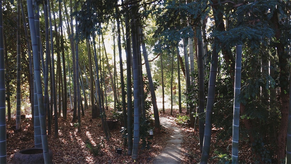 f:id:Vanity73:20201209080728j:image