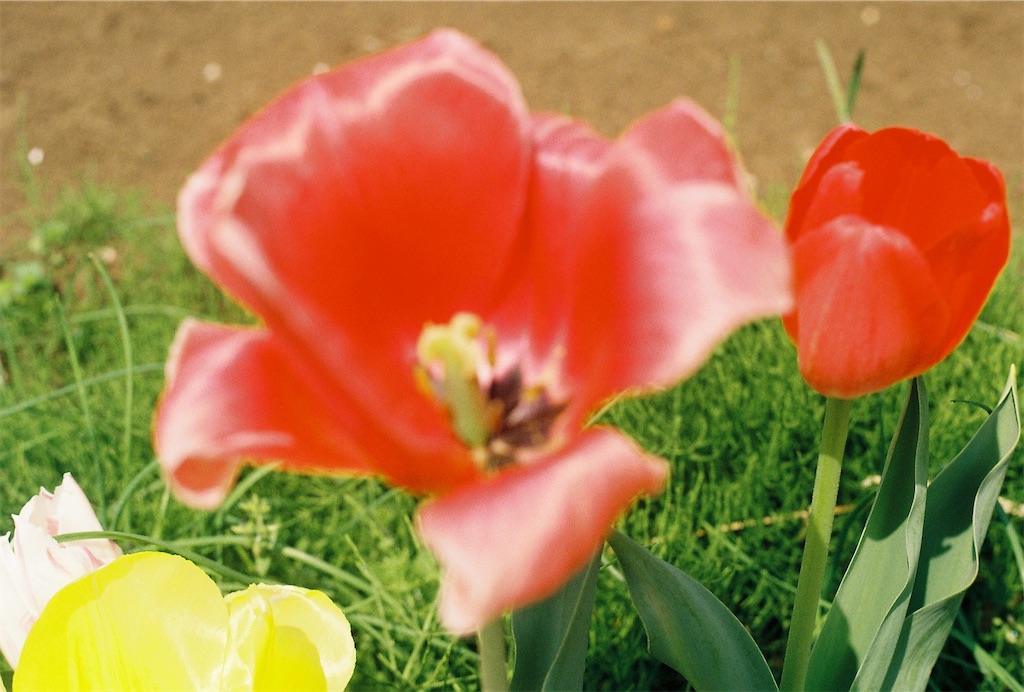 f:id:Vanity73:20220723092742j:image