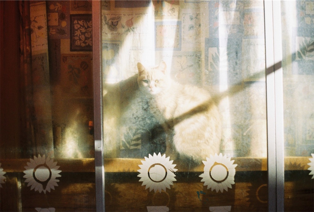 f:id:Vanity73:20230205153527j:image