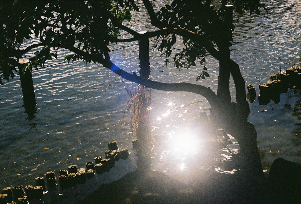 f:id:Vanity73:20230205153618j:image