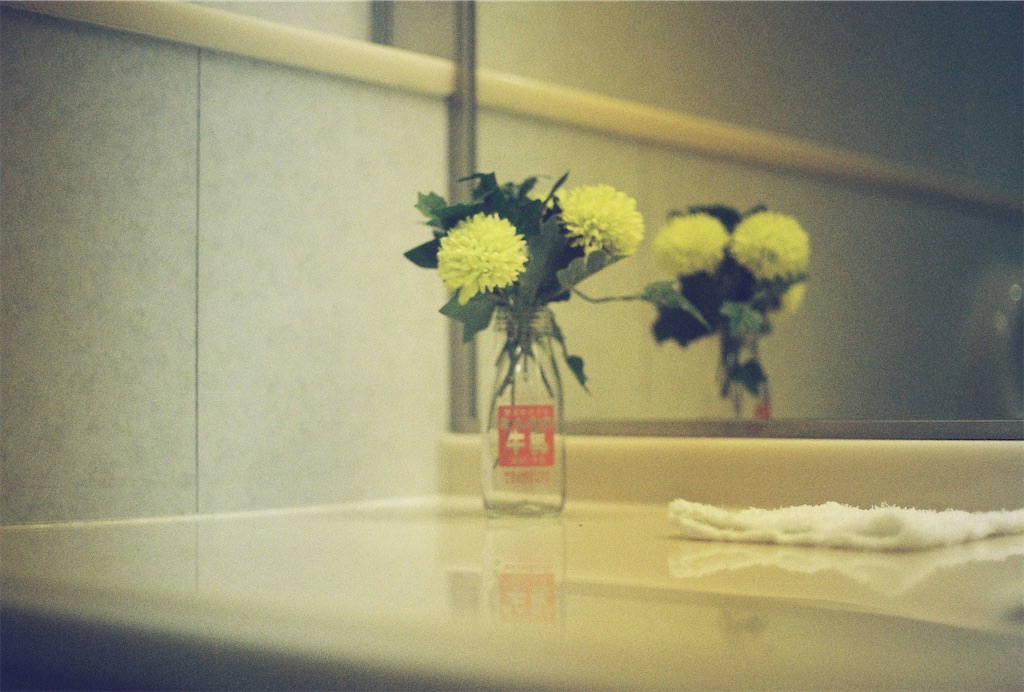 f:id:Vanity73:20230205153858j:image