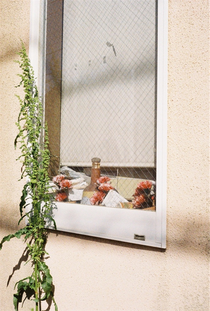f:id:Vanity73:20230521134707j:image