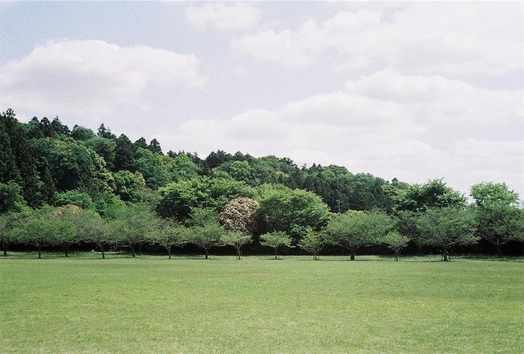 f:id:Vanity73:20230720200809j:image