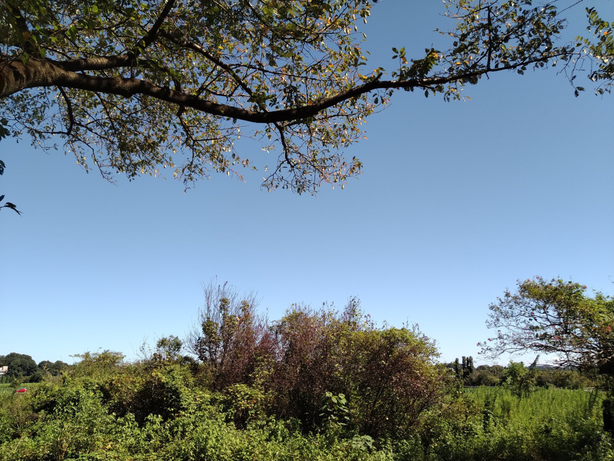 f:id:Vengineer:20210920082636p:plain