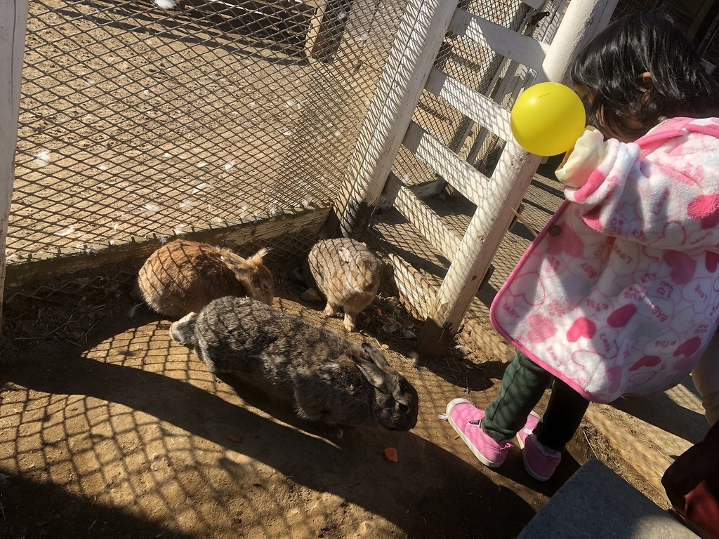 f:id:Vento:20190123231935j:plain f:id:Vento:20190123231935j:plain