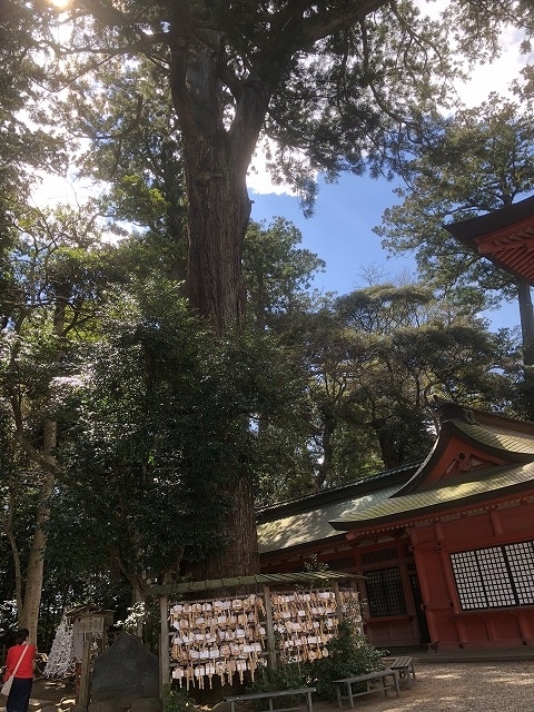 f:id:Vento:20190325230658j:plain