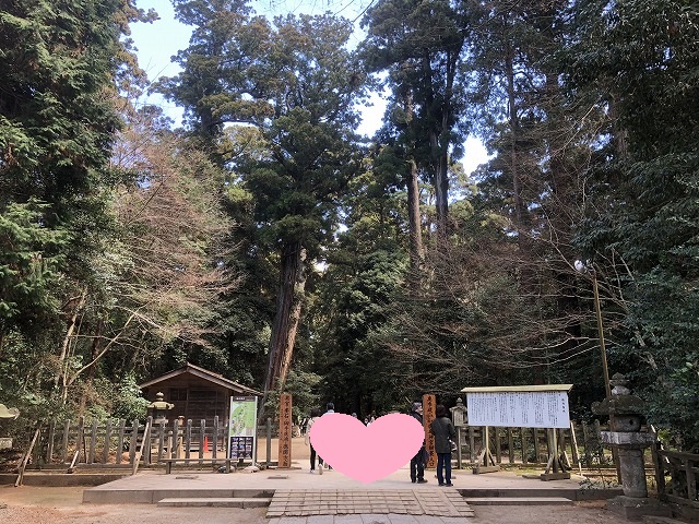 f:id:Vento:20190325231022j:plain