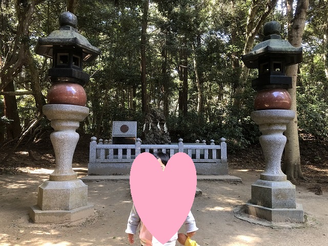 f:id:Vento:20190325232143j:plain