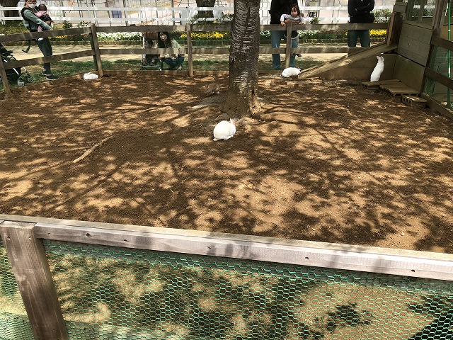 f:id:Vento:20190509210345j:plain f:id:Vento:20190509210345j:plain