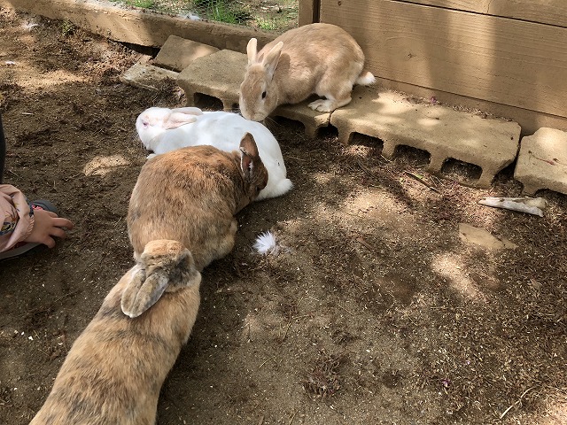f:id:Vento:20190509210350j:plain f:id:Vento:20190509210350j:plain