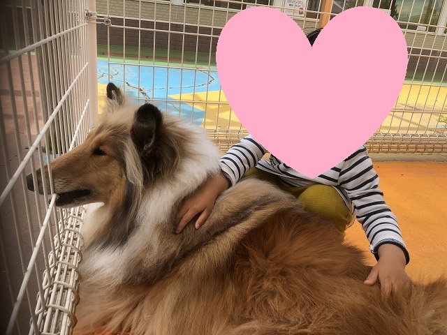 f:id:Vento:20190509225312j:plain f:id:Vento:20190509225312j:plain