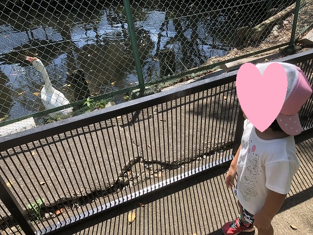 f:id:Vento:20190916233052j:plain f:id:Vento:20190916233052j:plain