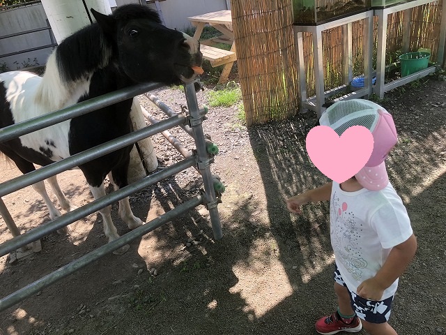f:id:Vento:20190916233540j:plain f:id:Vento:20190916233540j:plain
