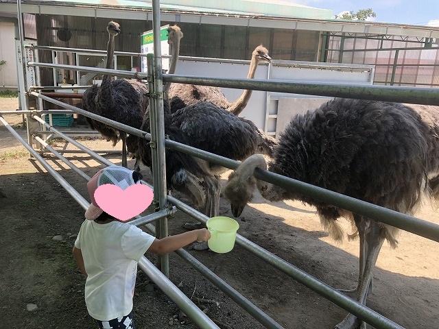 f:id:Vento:20190916233628j:plain f:id:Vento:20190916233628j:plain