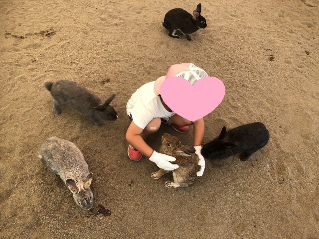 f:id:Vento:20190916234520j:plain f:id:Vento:20190916234520j:plain