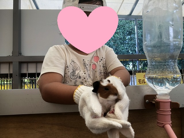 f:id:Vento:20190916234641j:plain f:id:Vento:20190916234641j:plain