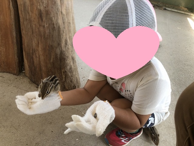 f:id:Vento:20190916235033j:plain f:id:Vento:20190916235033j:plain