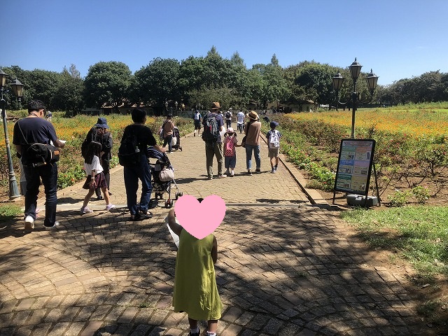 f:id:Vento:20191001223540j:plain