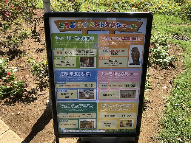 f:id:Vento:20191001223624j:plain