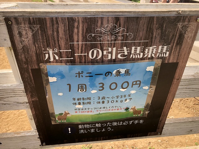f:id:Vento:20191001230907j:plain