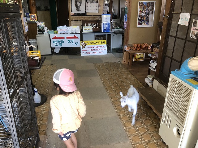 f:id:Vento:20191028231414j:plain