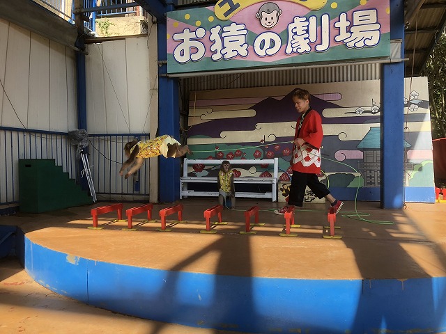 f:id:Vento:20191028232002j:plain