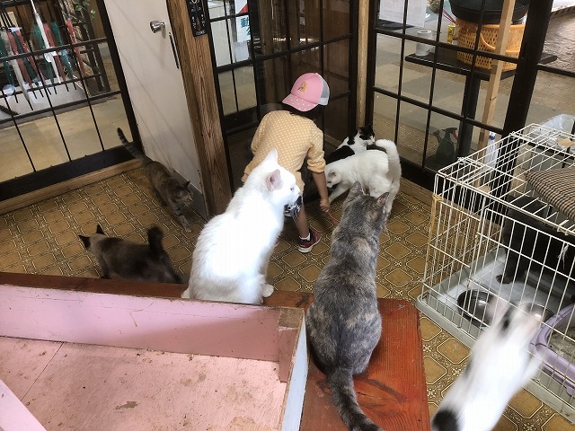 f:id:Vento:20191028232506j:plain