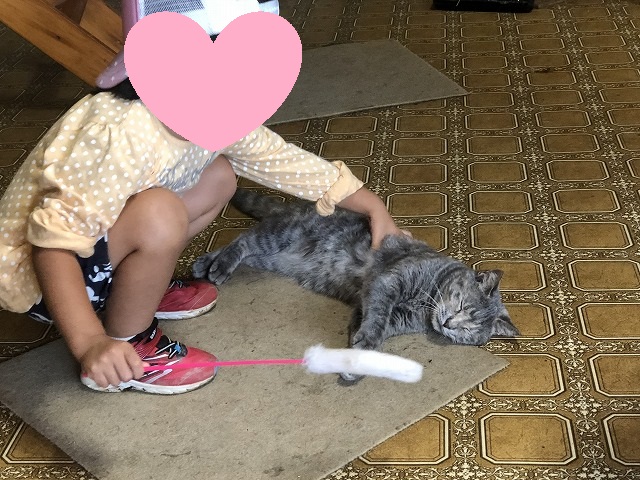 f:id:Vento:20191028232553j:plain