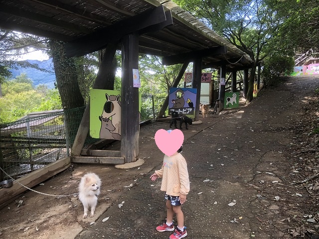 f:id:Vento:20191028232834j:plain