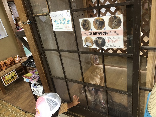 f:id:Vento:20191028233532j:plain