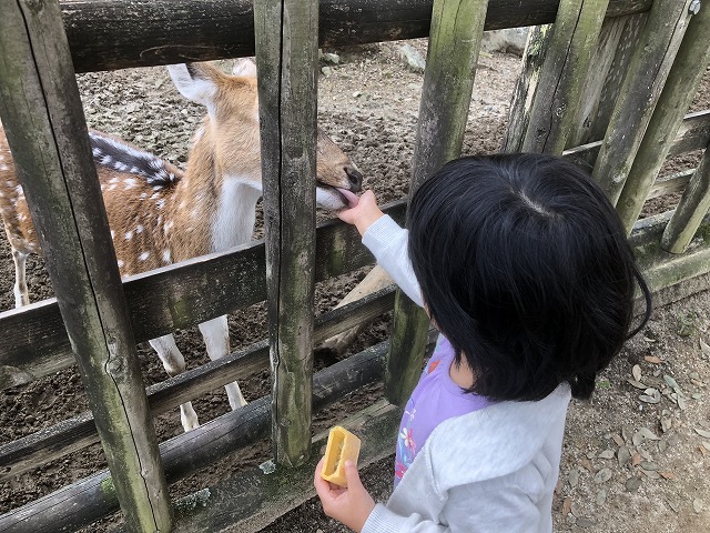 f:id:Vento:20191120224906j:plain f:id:Vento:20191120224906j:plain