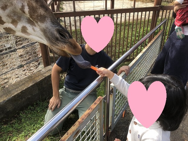f:id:Vento:20191120225216j:plain f:id:Vento:20191120225216j:plain