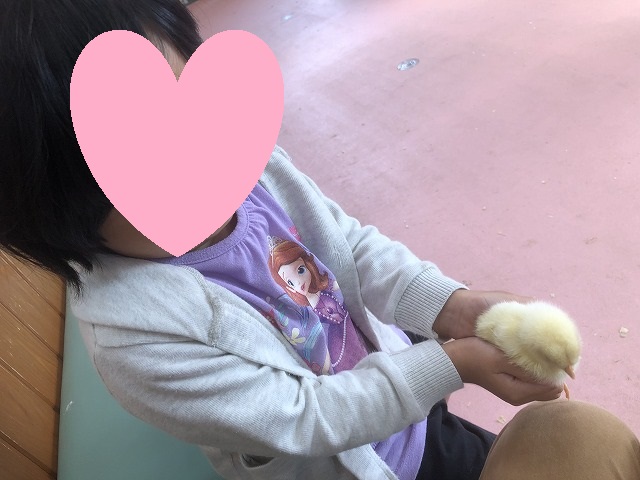 f:id:Vento:20191120230230j:plain f:id:Vento:20191120230230j:plain