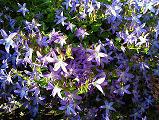 f:id:VirginMaryLongs:20191215130003j:plain