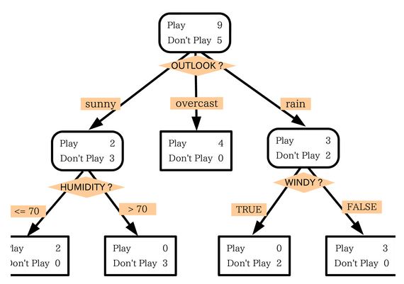 Important Information on Decision Tree Software - Visirule’s blog