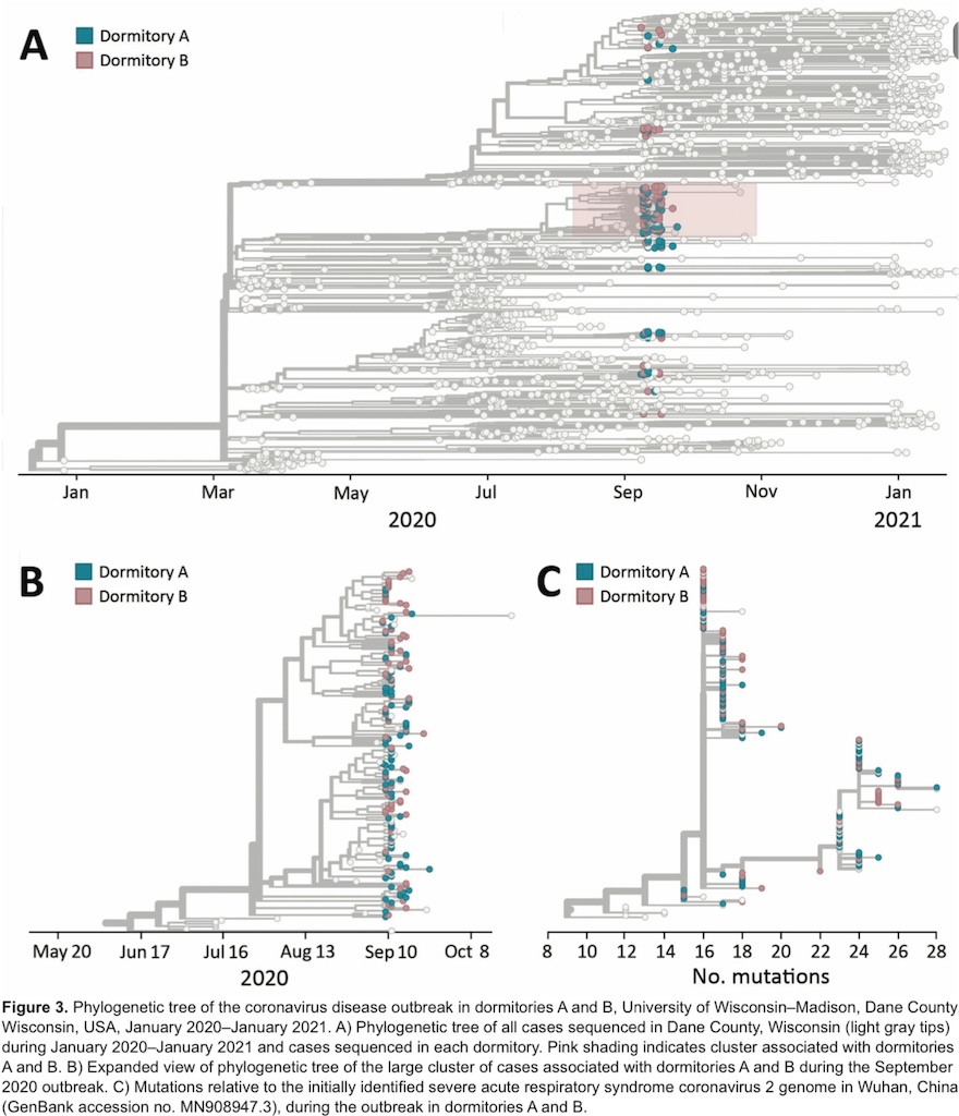 f:id:VoiceofER:20211031181147j:image
