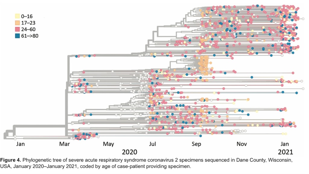 f:id:VoiceofER:20211031181159j:image