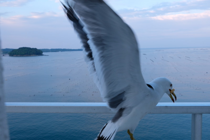 f:id:Vorspiel:20180504175849j:plain f:id:Vorspiel:20180504175849j:plain