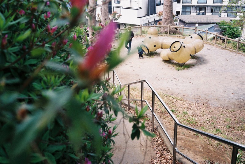 f:id:Vorspiel:20200421202756j:plain f:id:Vorspiel:20200421202756j:plain