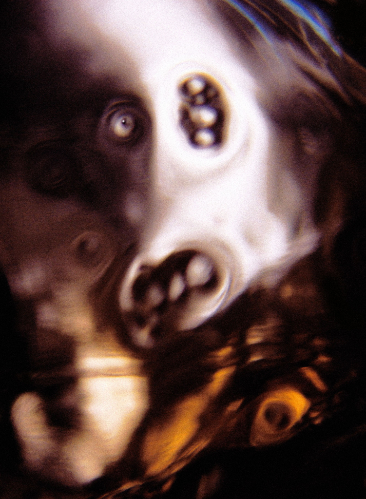 f:id:Vosot:20180302153737j:plain