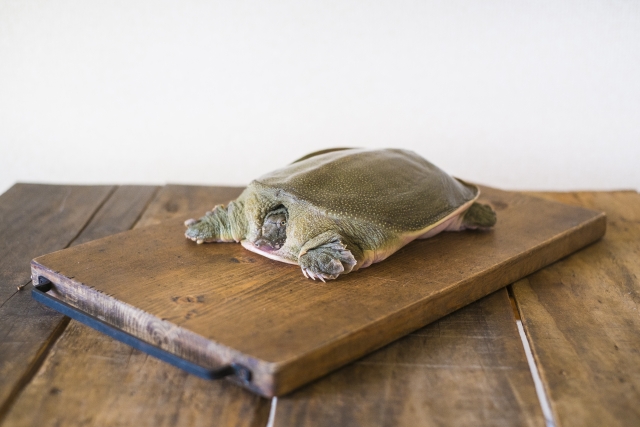 f:id:Vosot:20180921144110j:plain f:id:Vosot:20180921144110j:plain