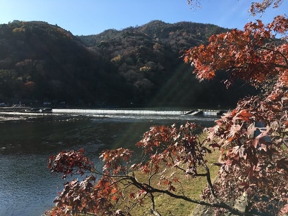 やっぱり今日もひきこもる私 4 東京のひきこもり 千年前のひきこもり村を歩く Vosot ぼそっとプロジェクト